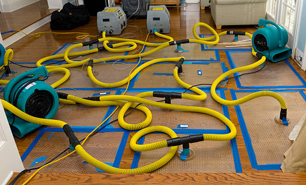 Professional Basement Flood Cleanup technician working in Littlefield, AZ